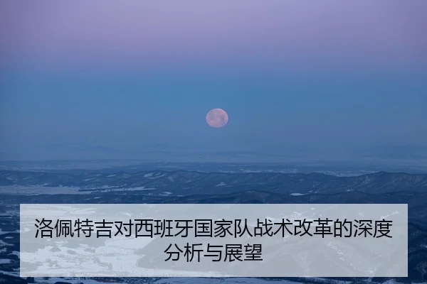 洛佩特吉对西班牙国家队战术改革的深度分析与展望